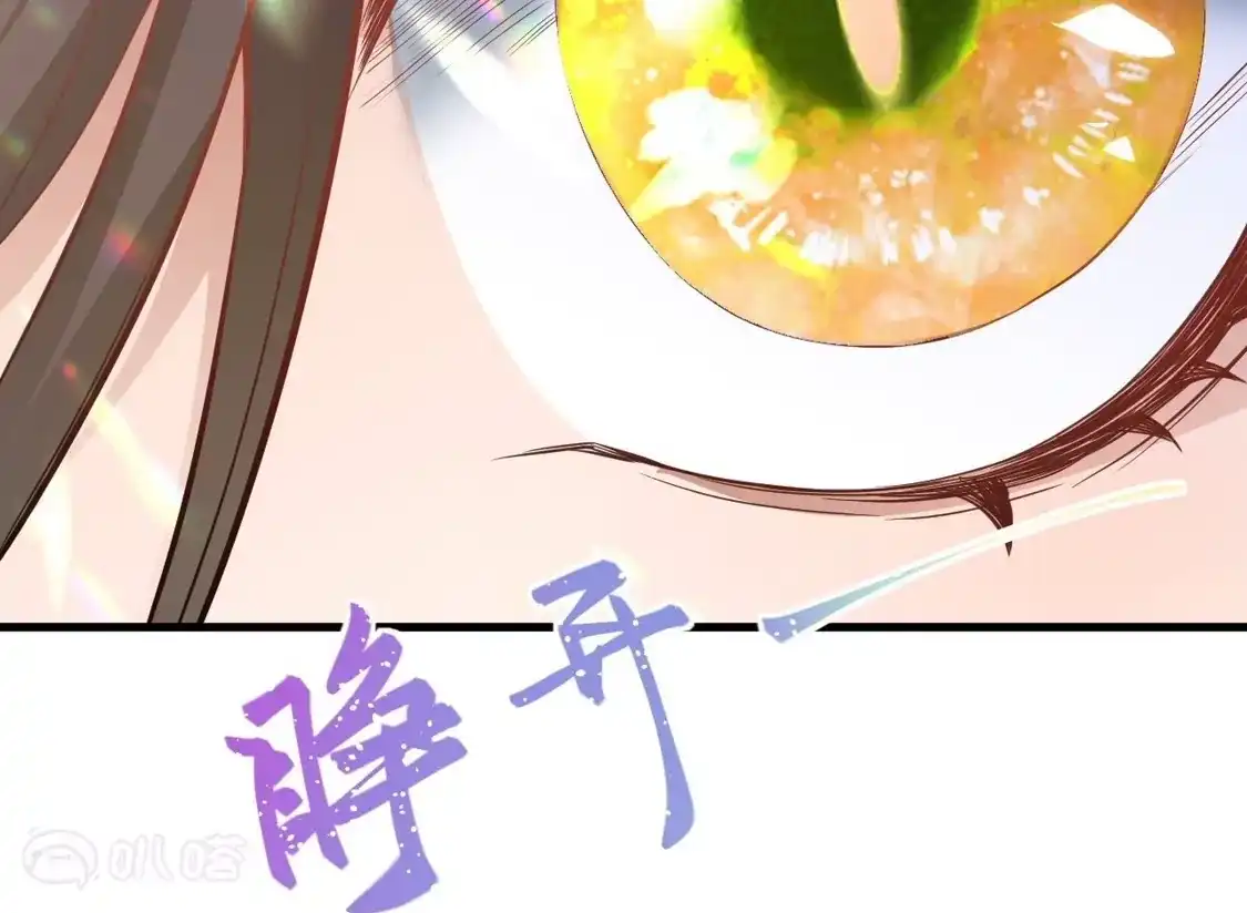 第903页