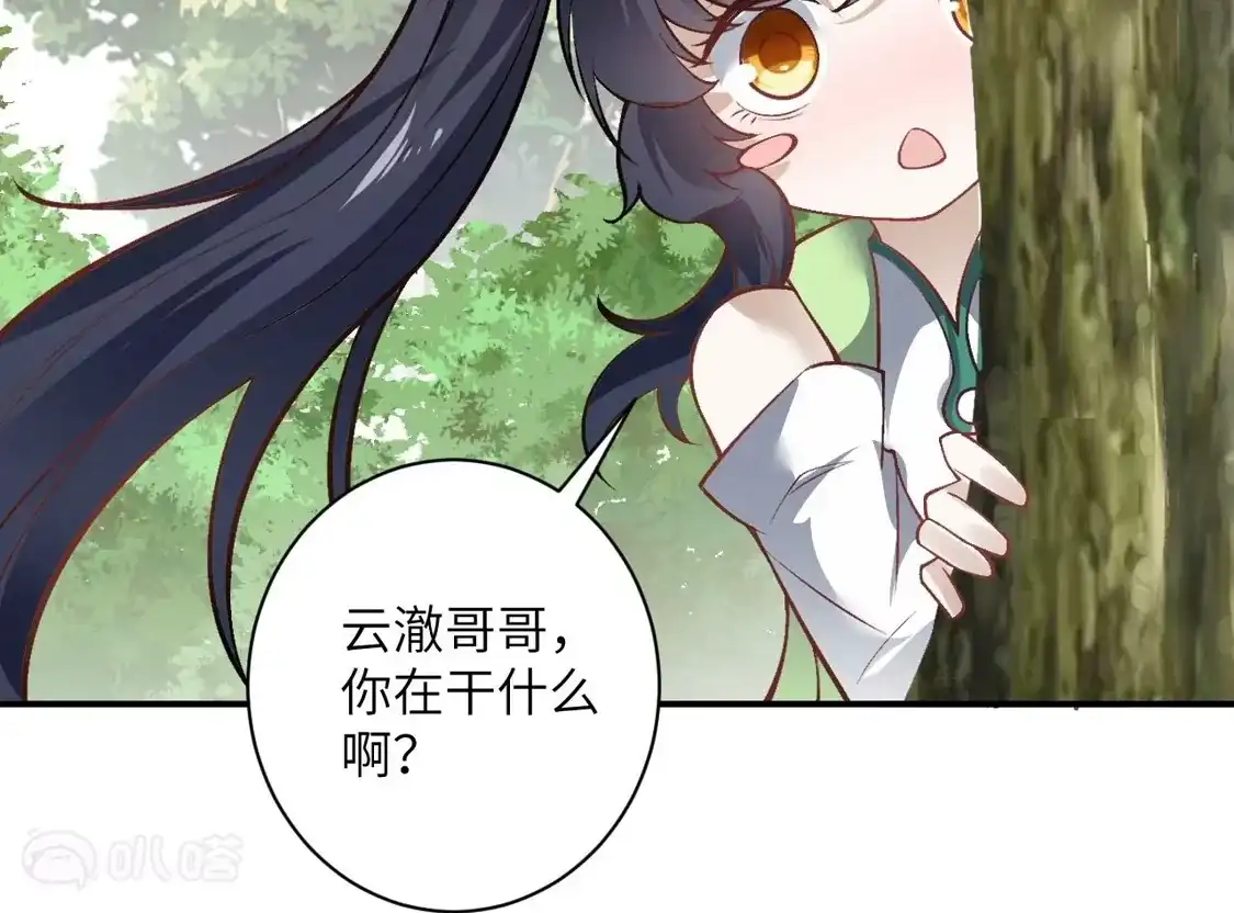 第511页