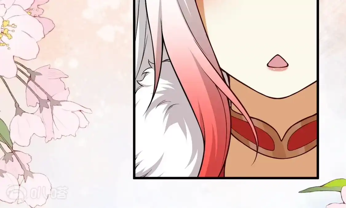 第216页