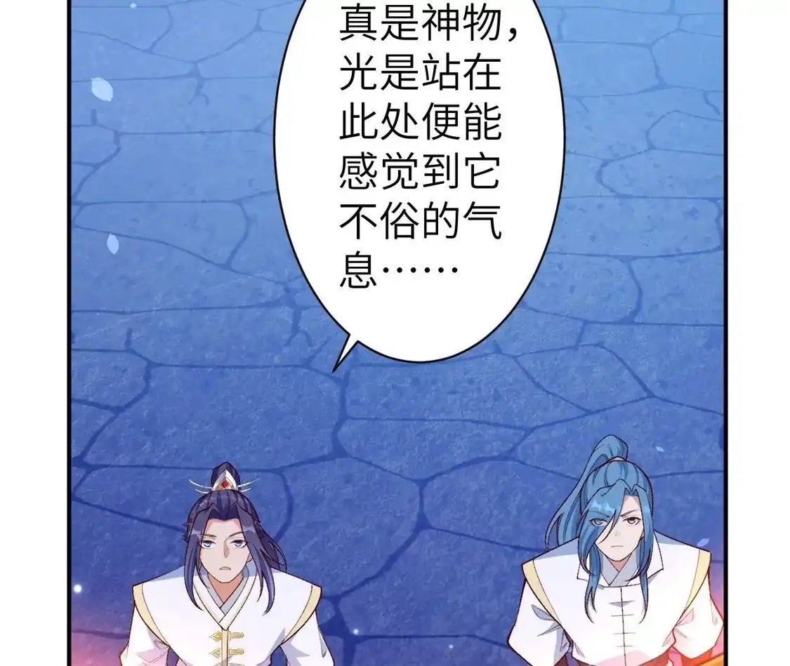 第906页
