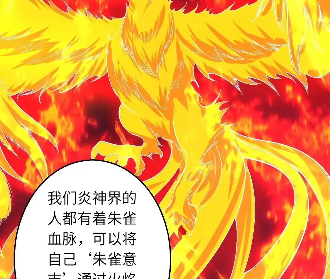 第972页