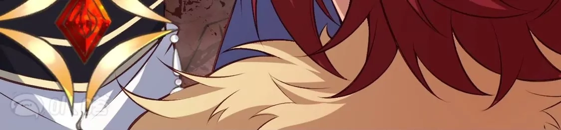 第511页