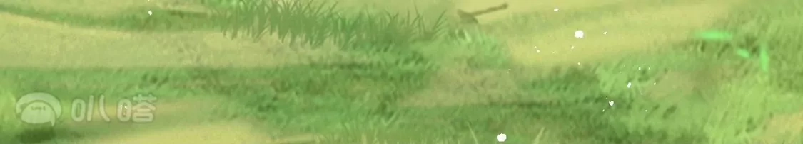 第147页