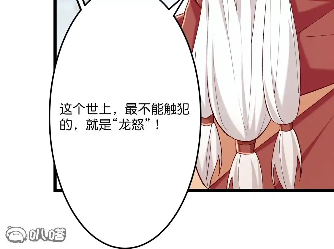 第511页