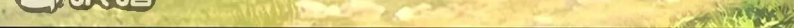 第265页
