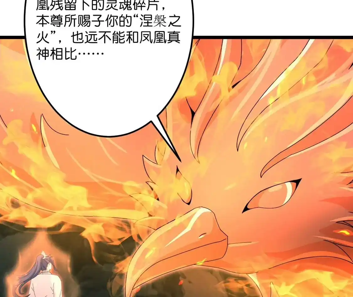 第903页