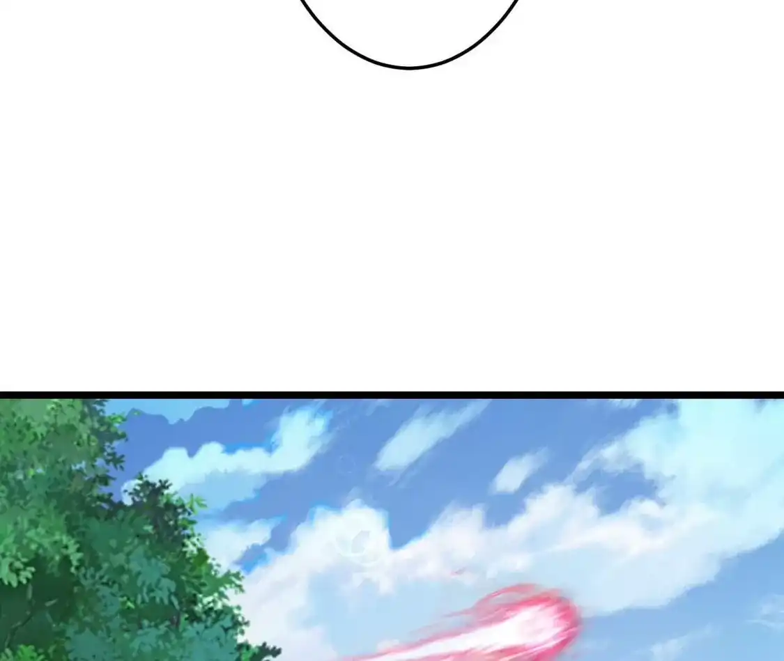 第228页