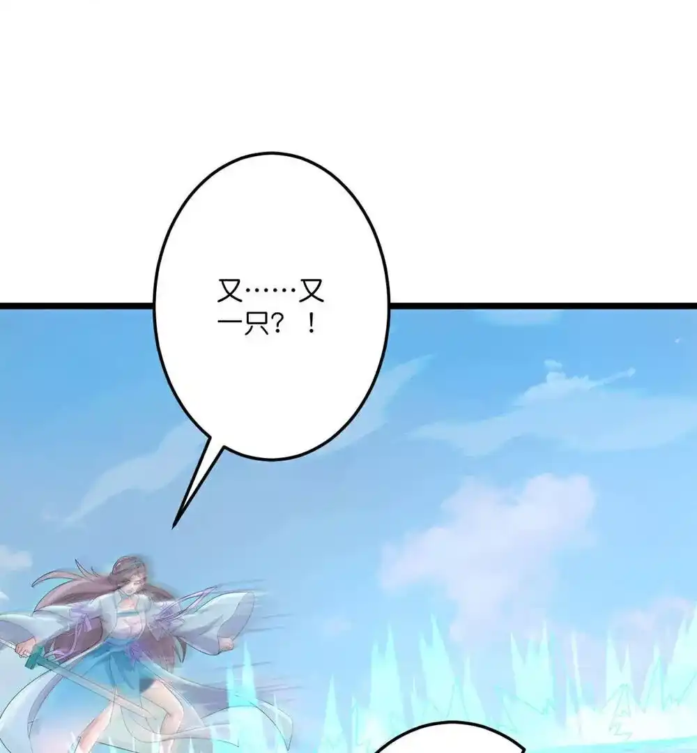 第528页