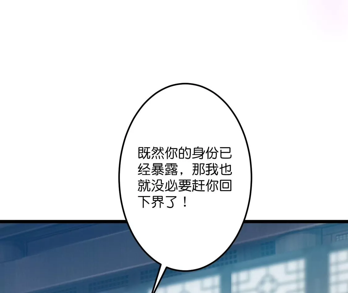 第426页