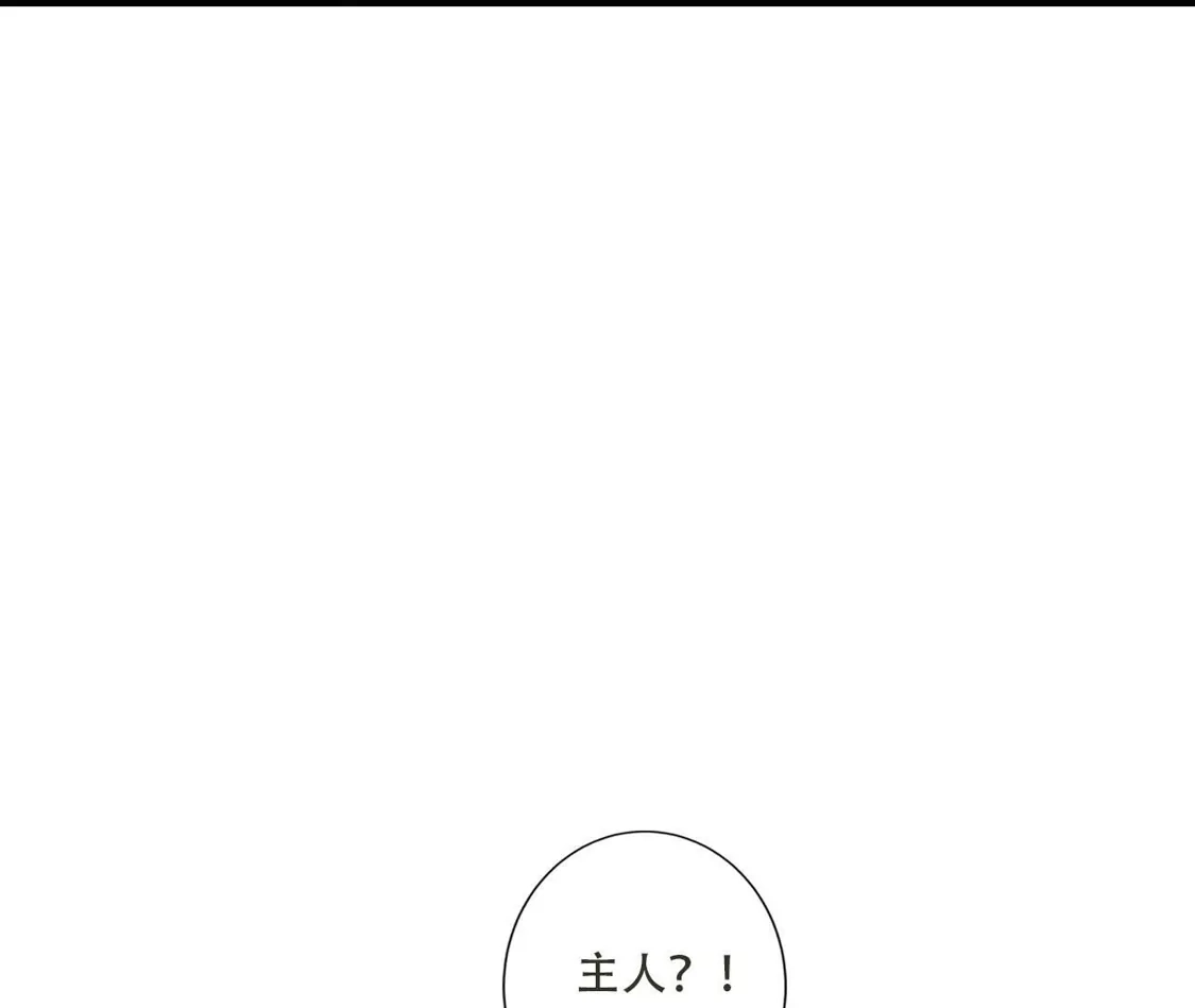 第510页