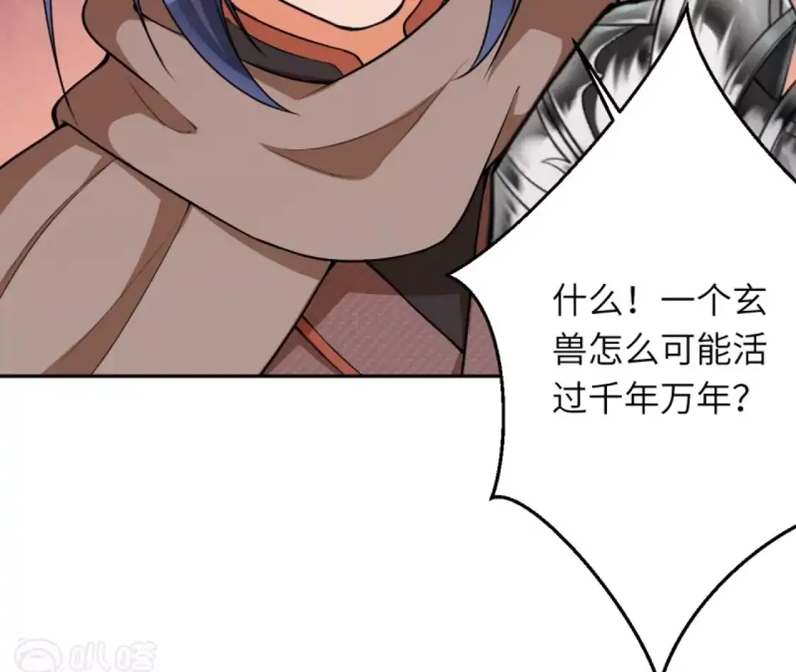 第223页
