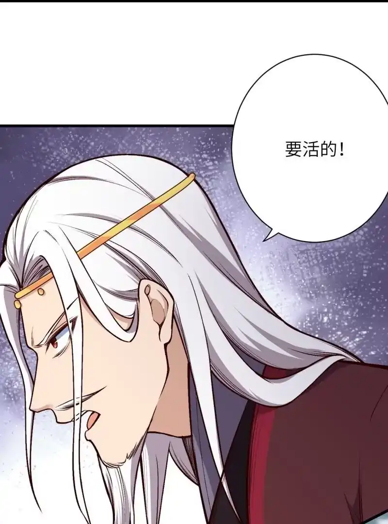第441页