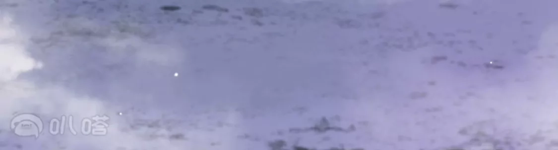 第339页