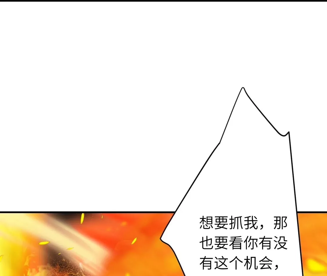 第232页