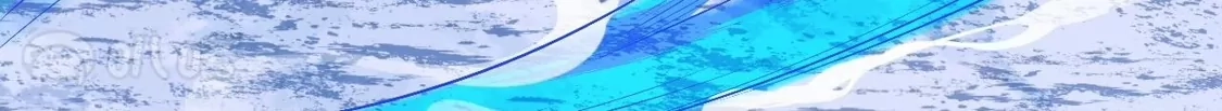 第242页