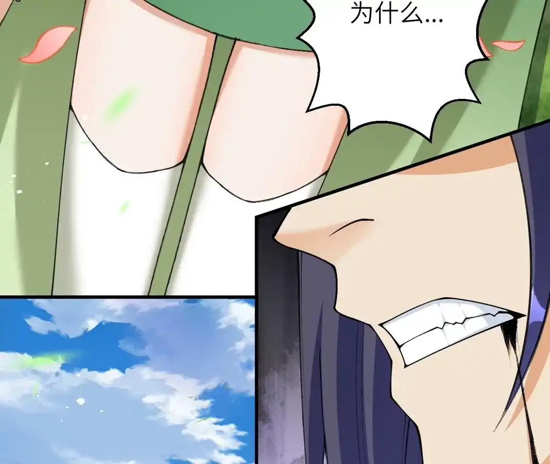第242页