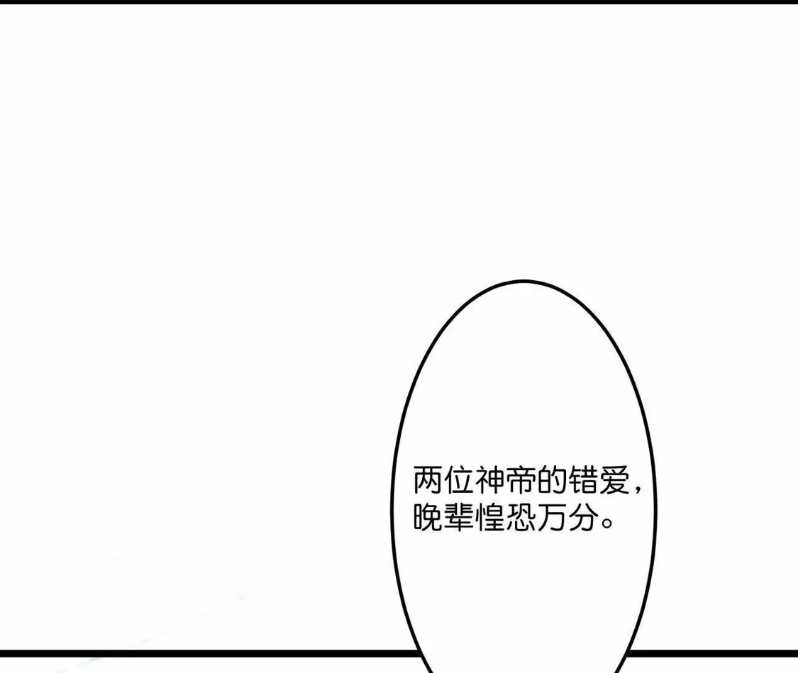 第242页