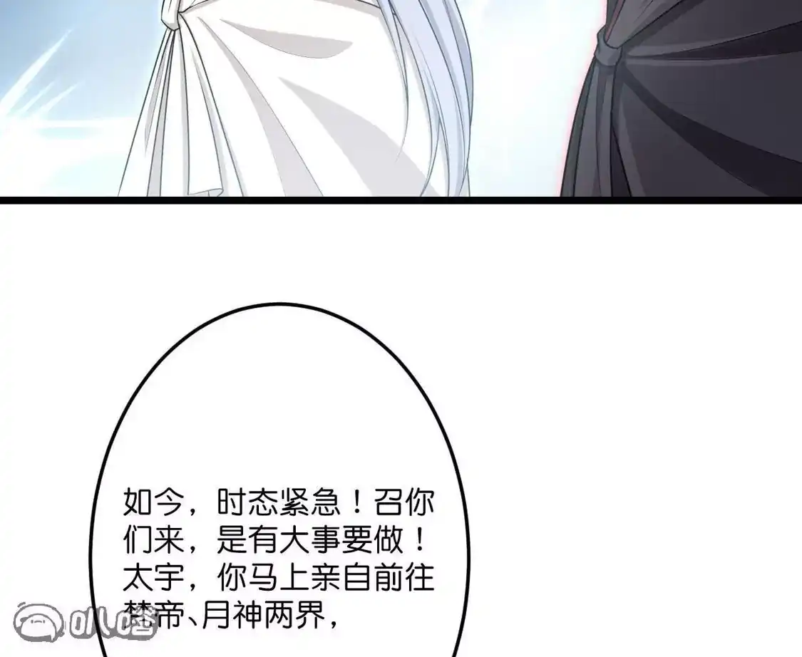 第231页