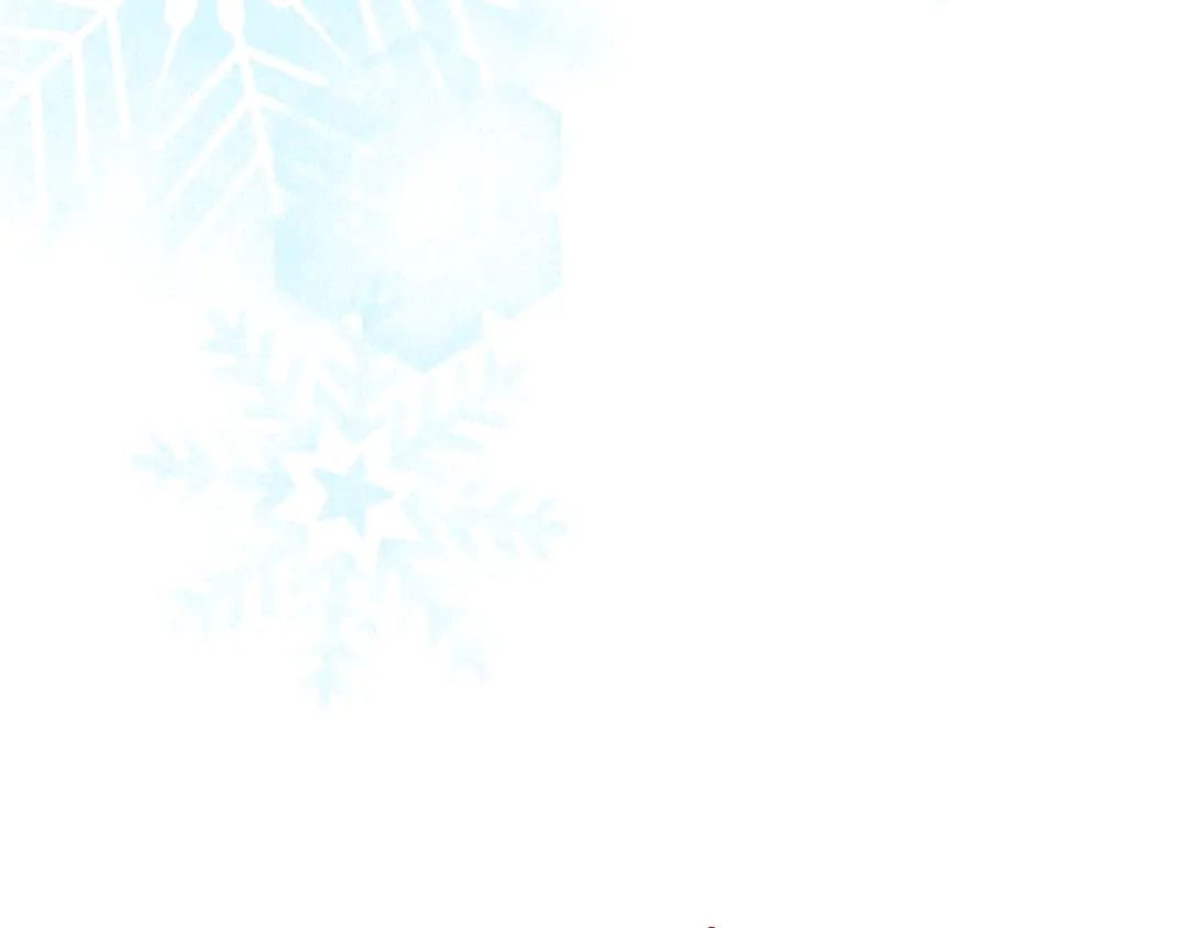 第219页