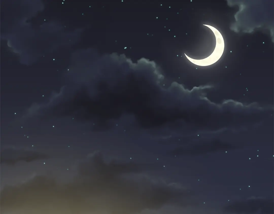 第191页