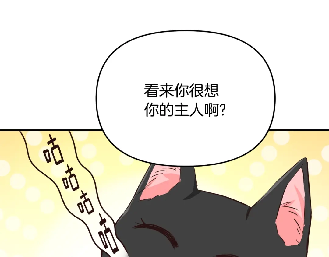 第226页