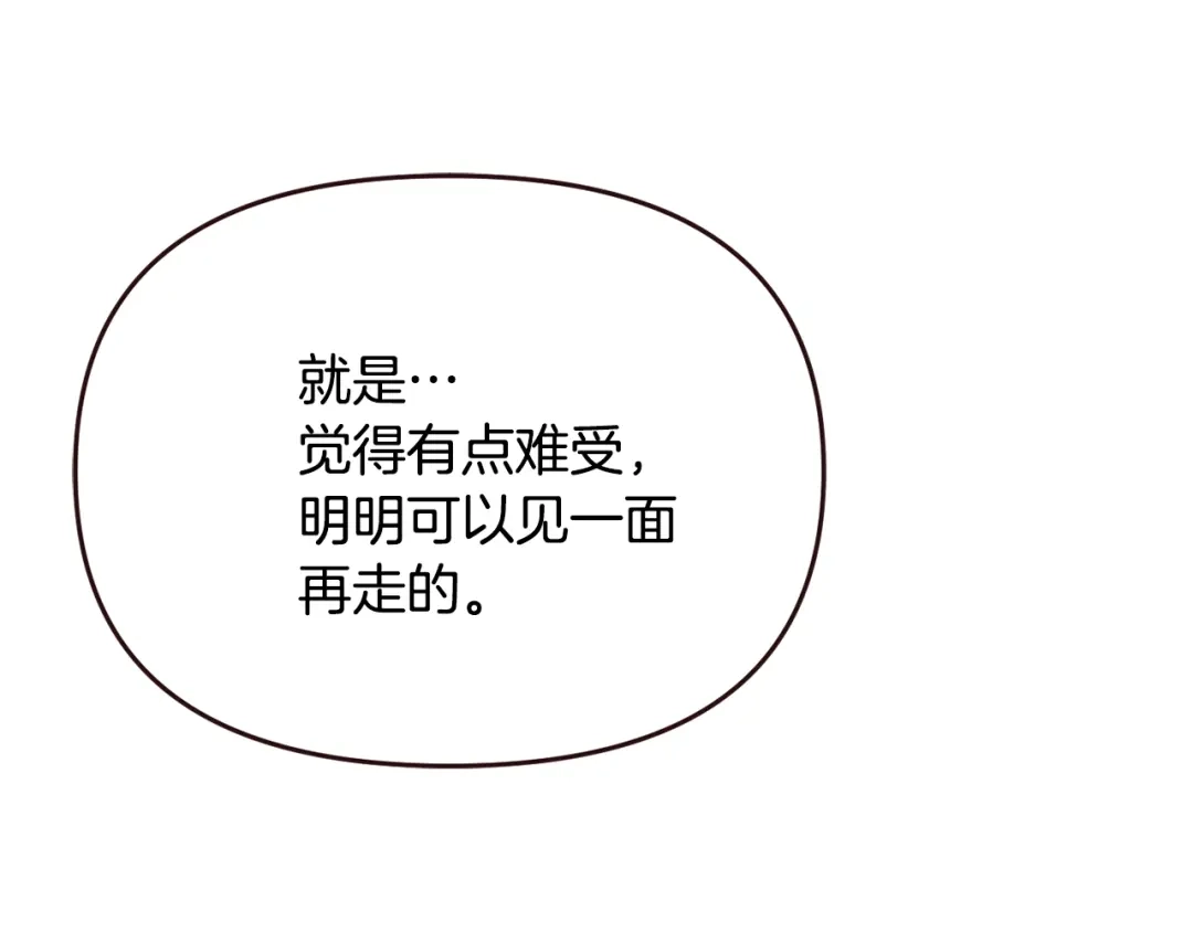 第242页