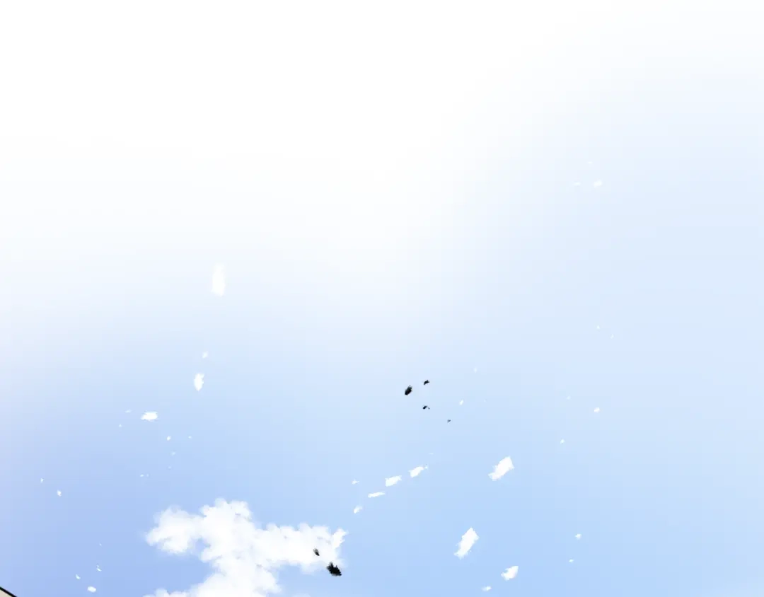 第186页