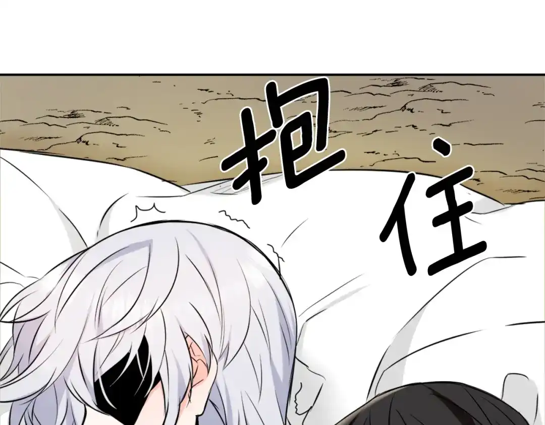 第207页