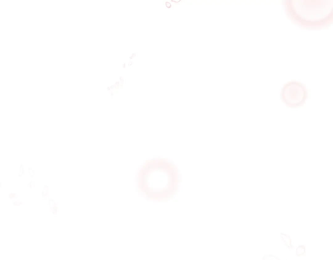 第222页