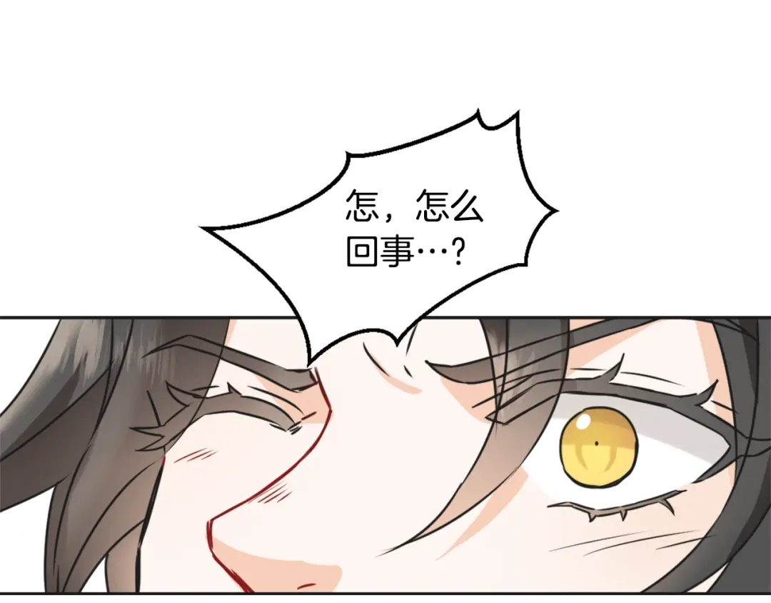 第215页