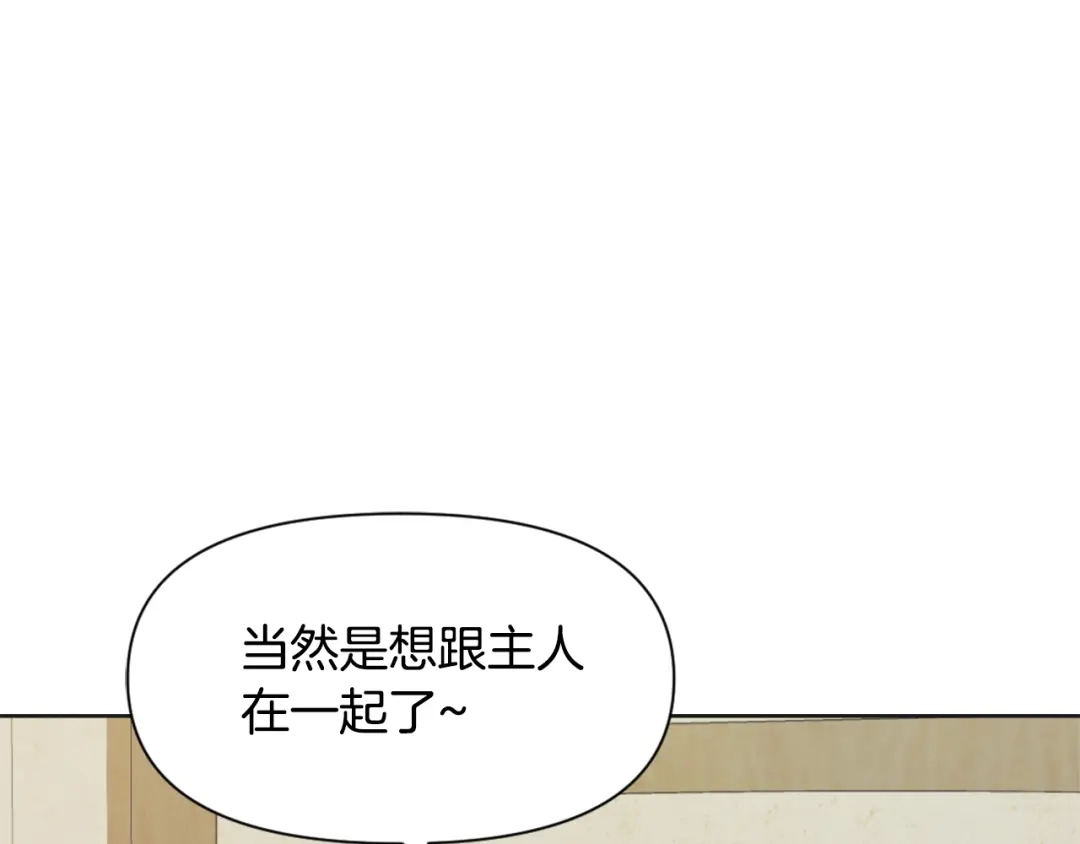 第223页