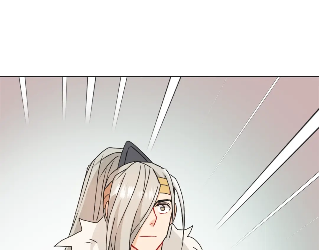 第217页