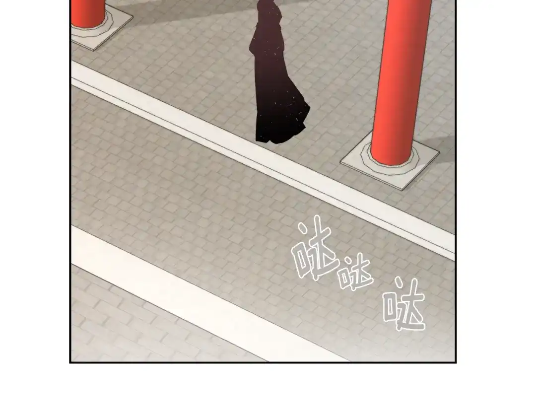 第195页
