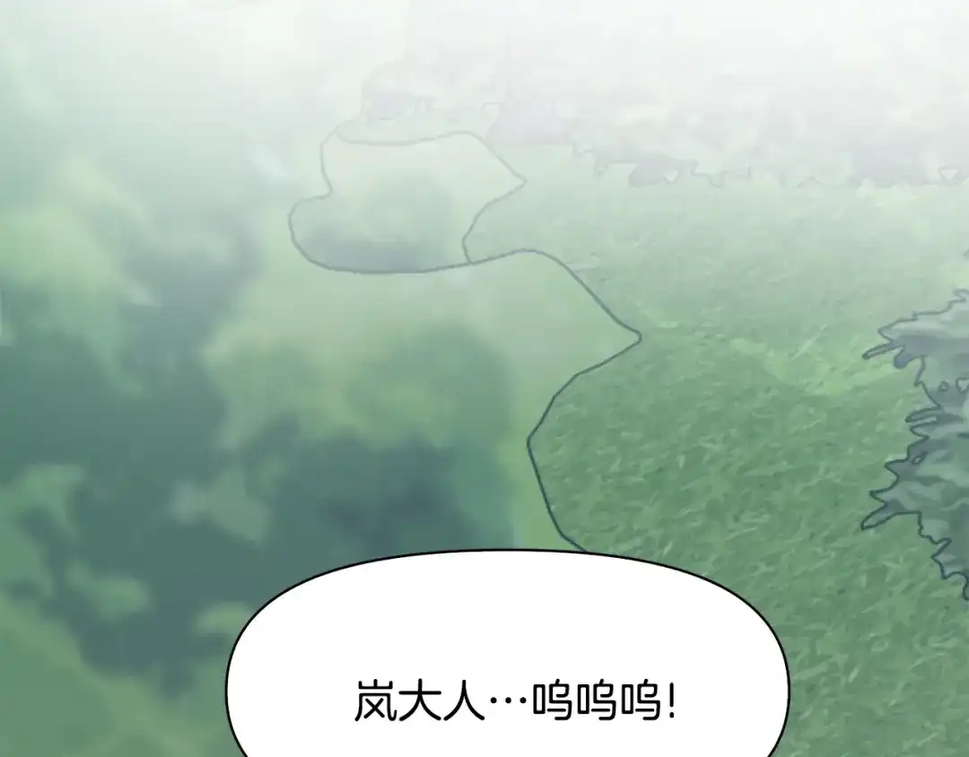 第215页