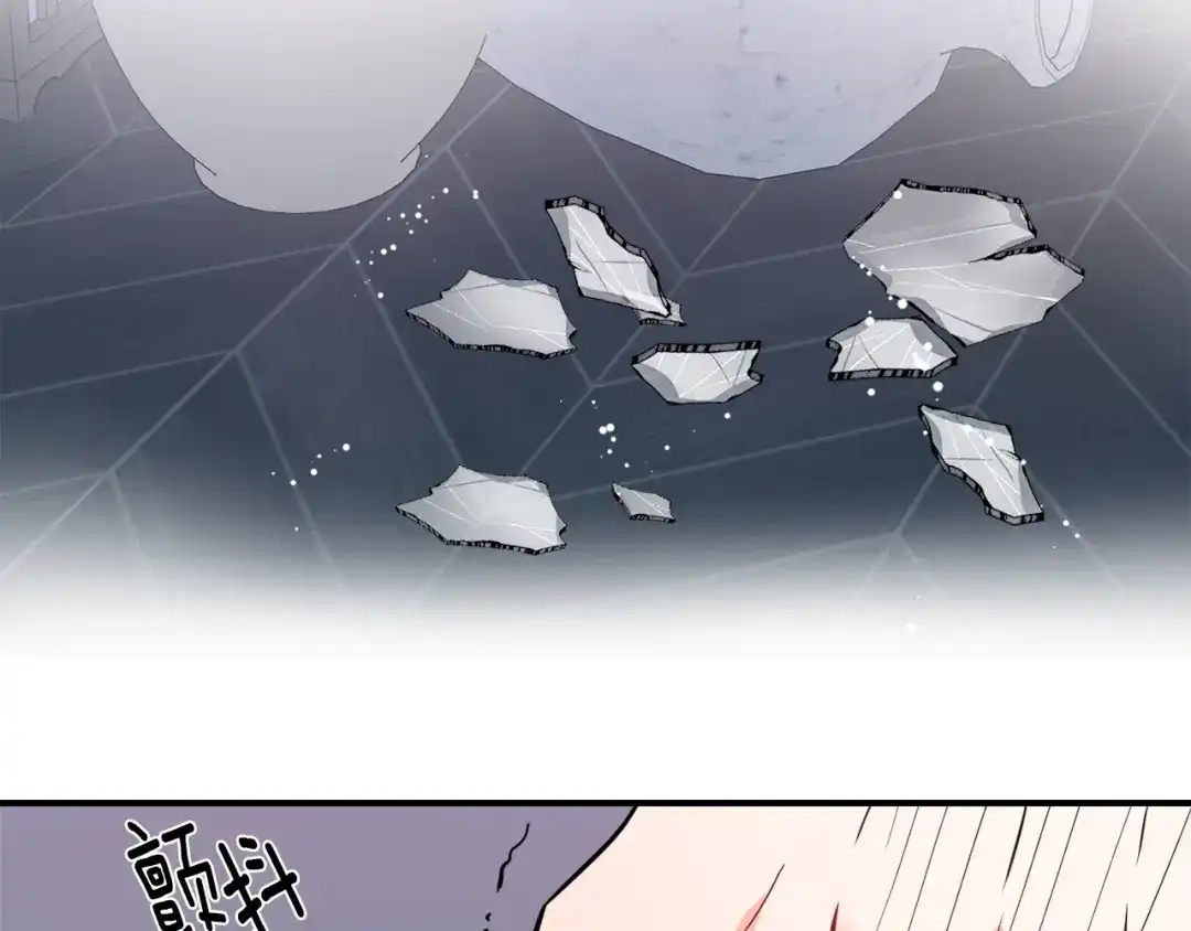 第217页