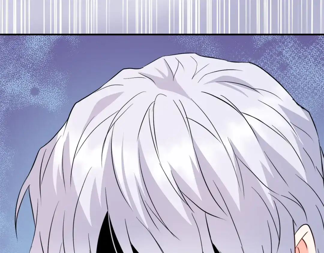 第223页