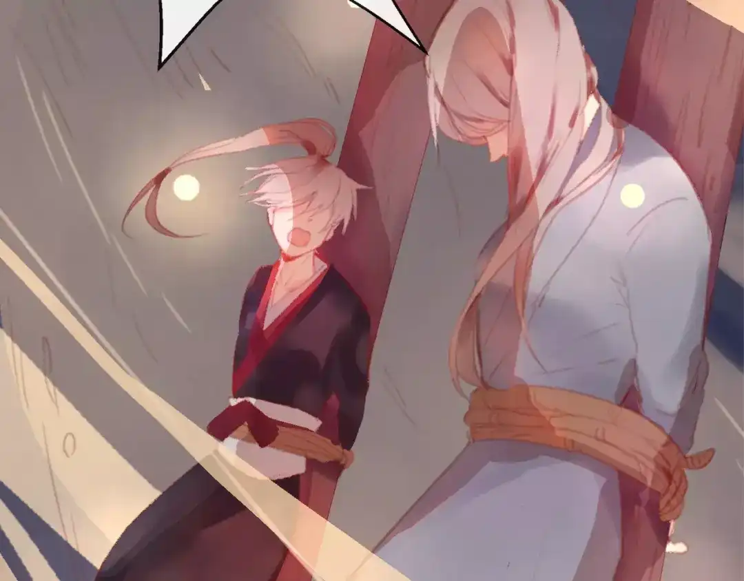第213页