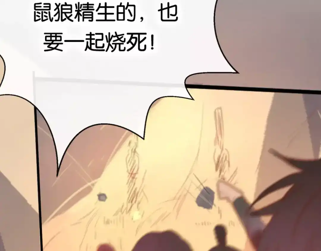 第217页