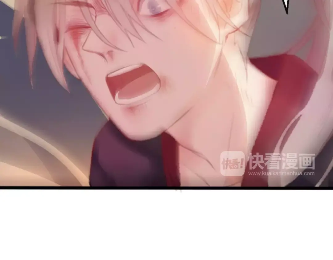 第223页