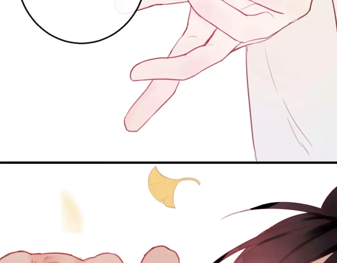 第205页