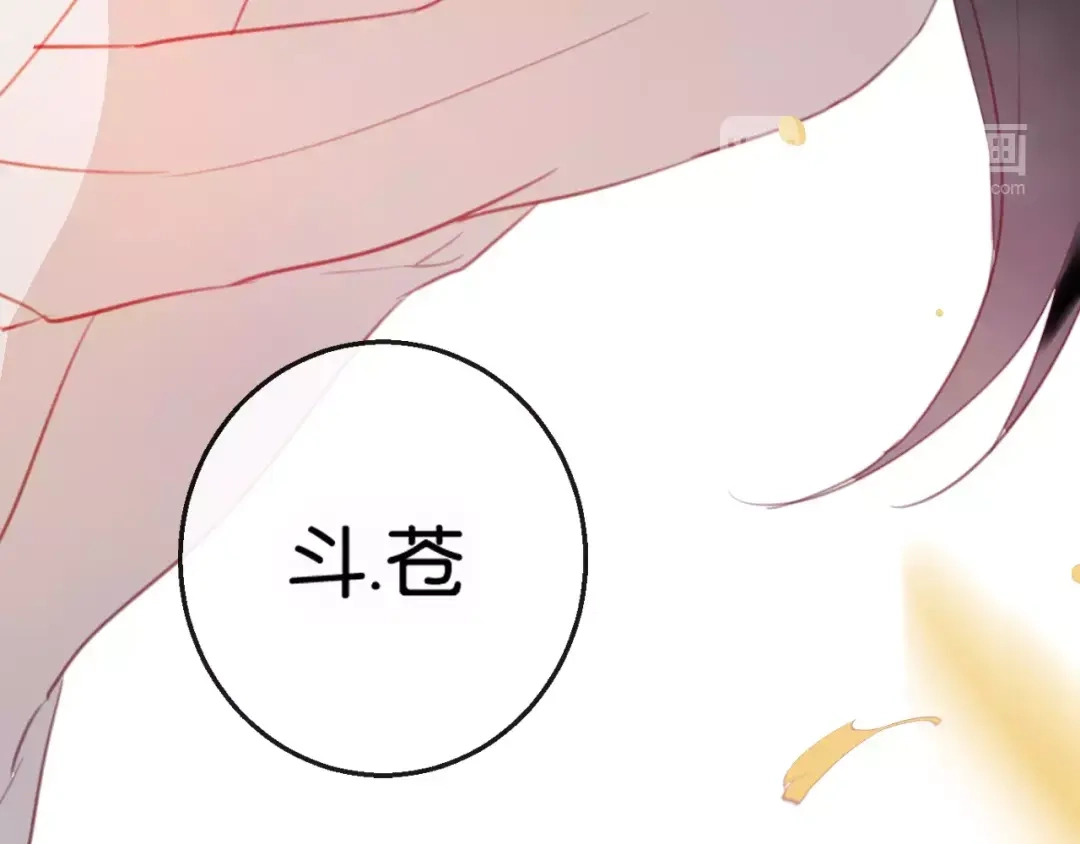 第207页