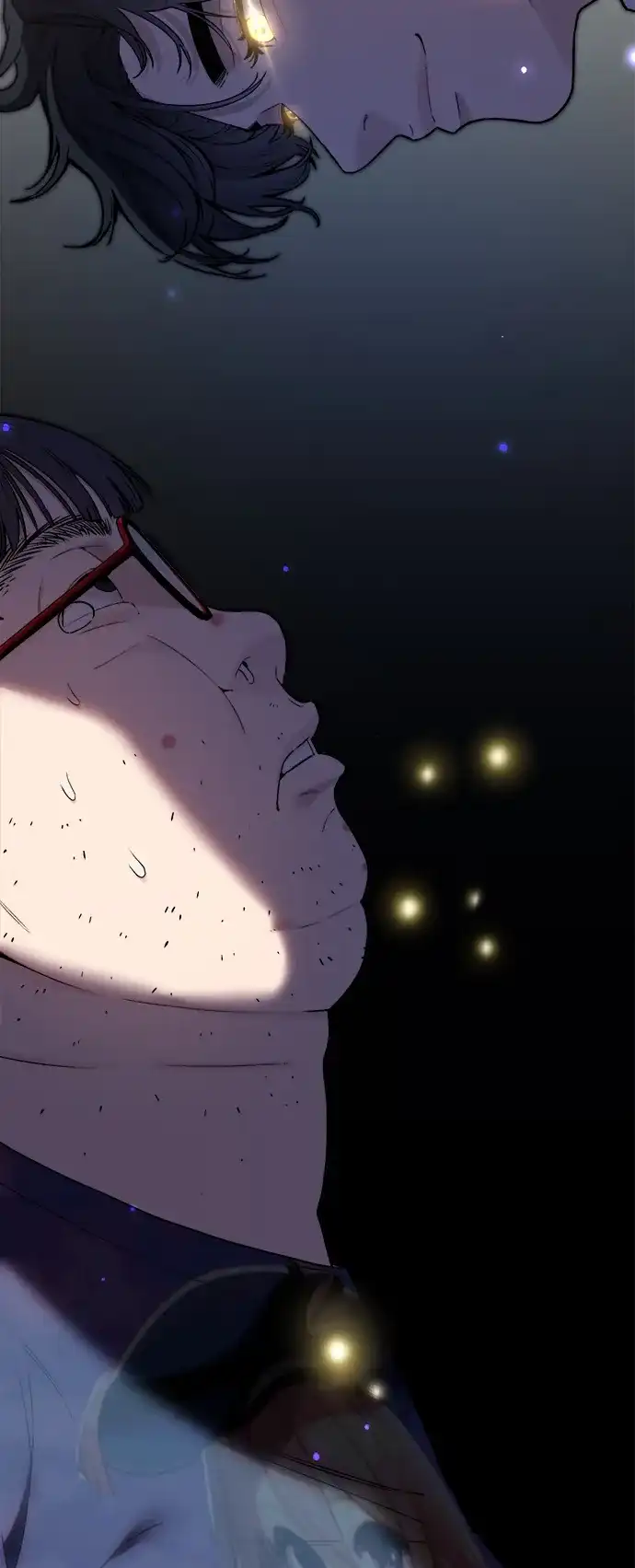 第224页