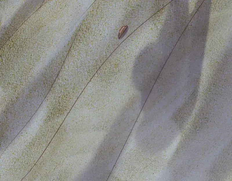 第136页