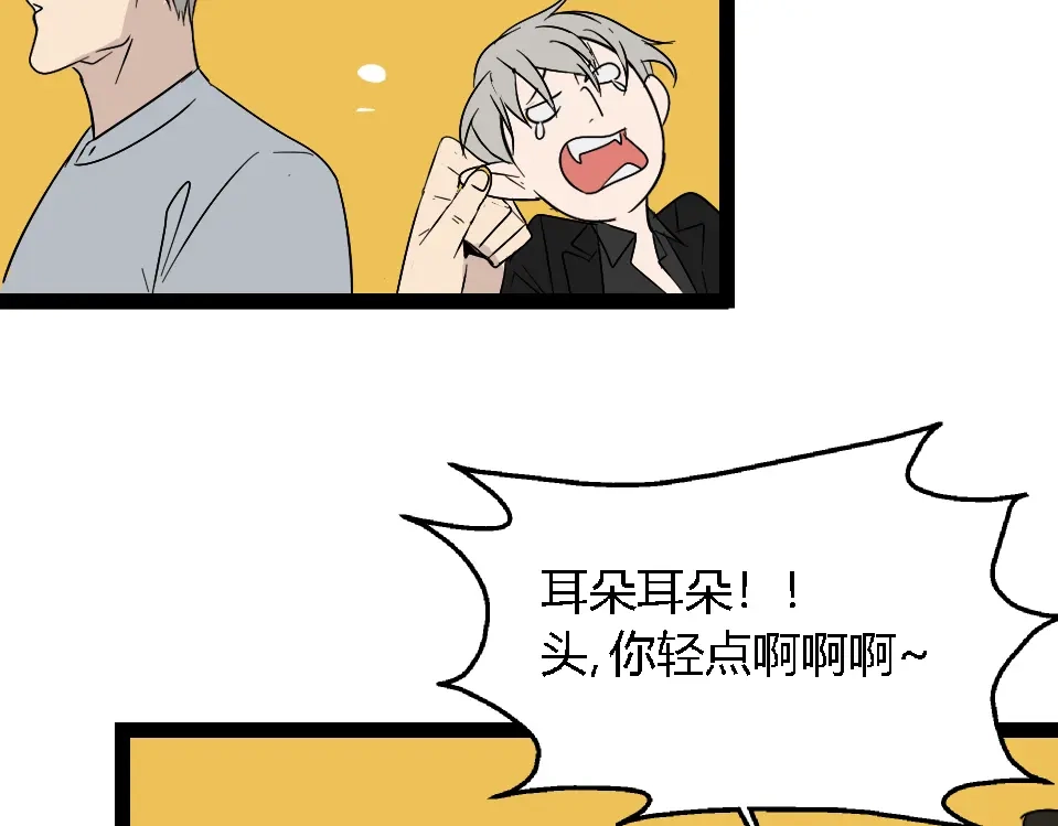 第211页