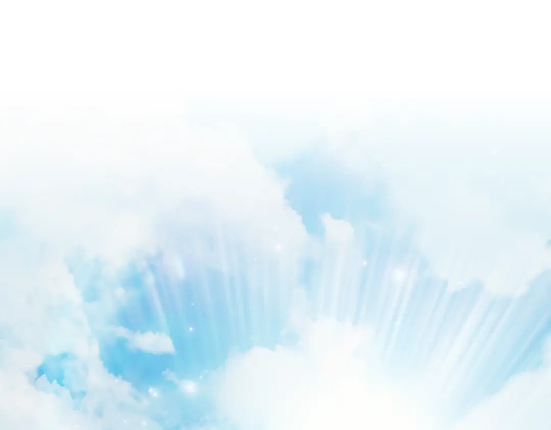第214页