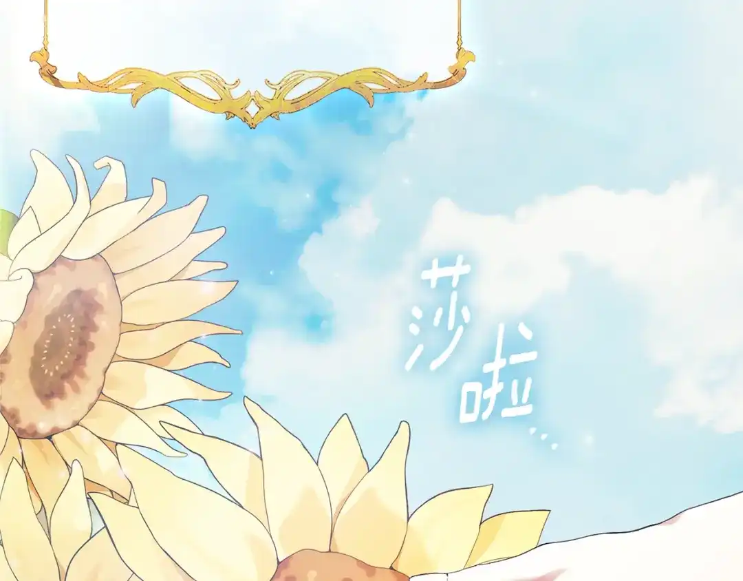 第224页