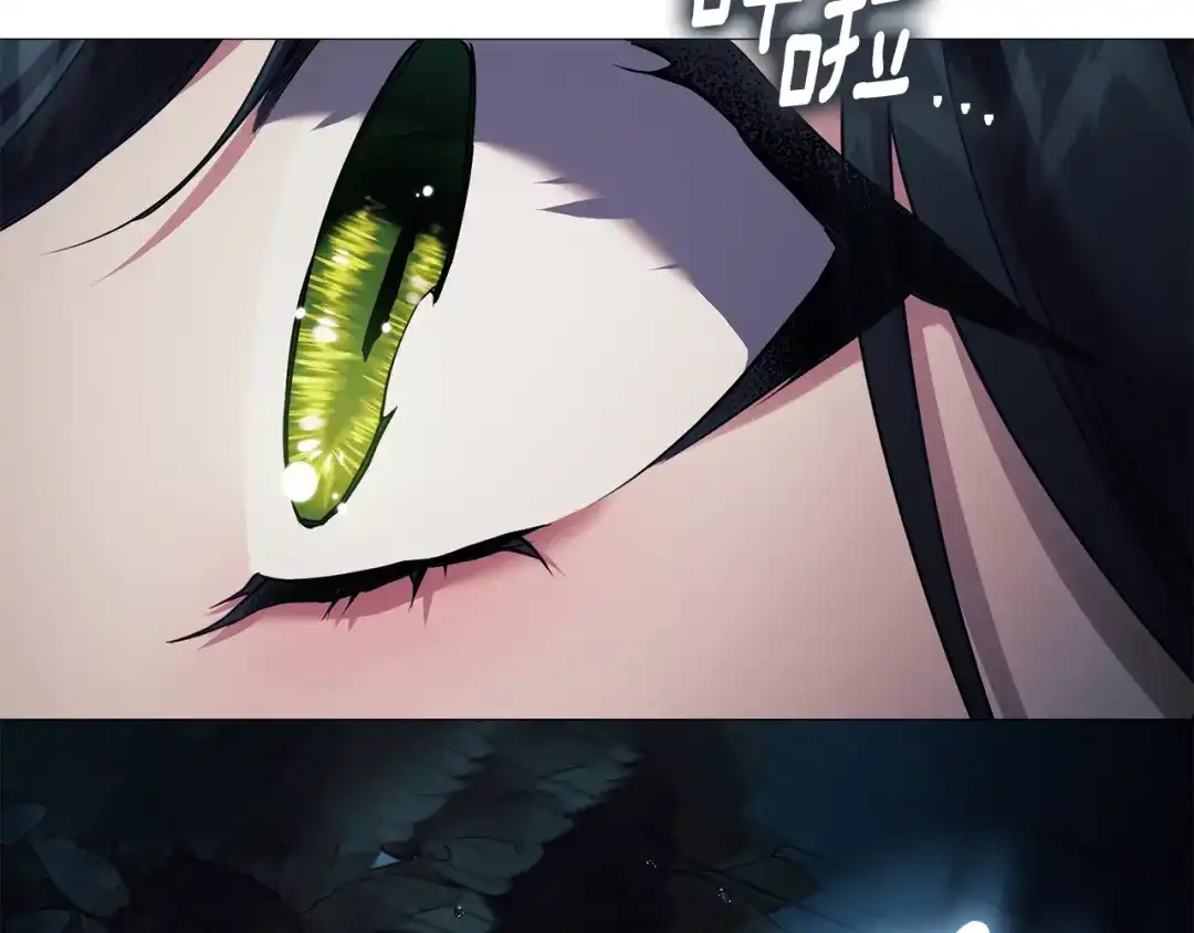 第252页