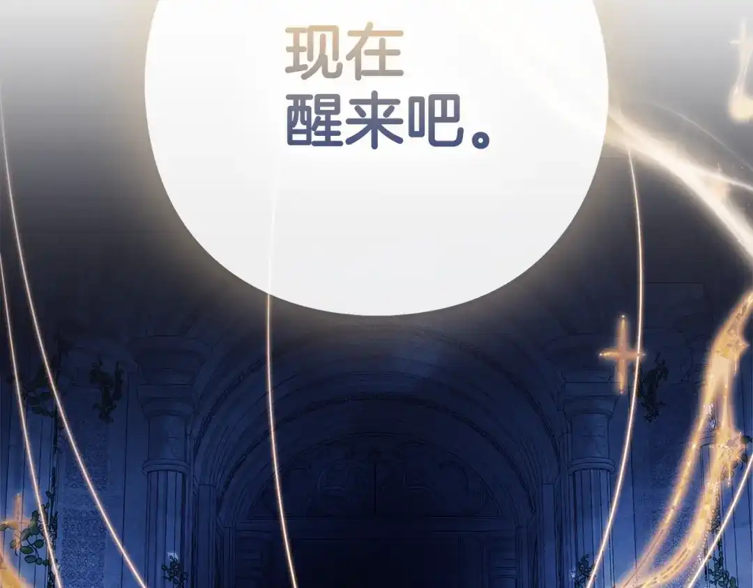 第213页
