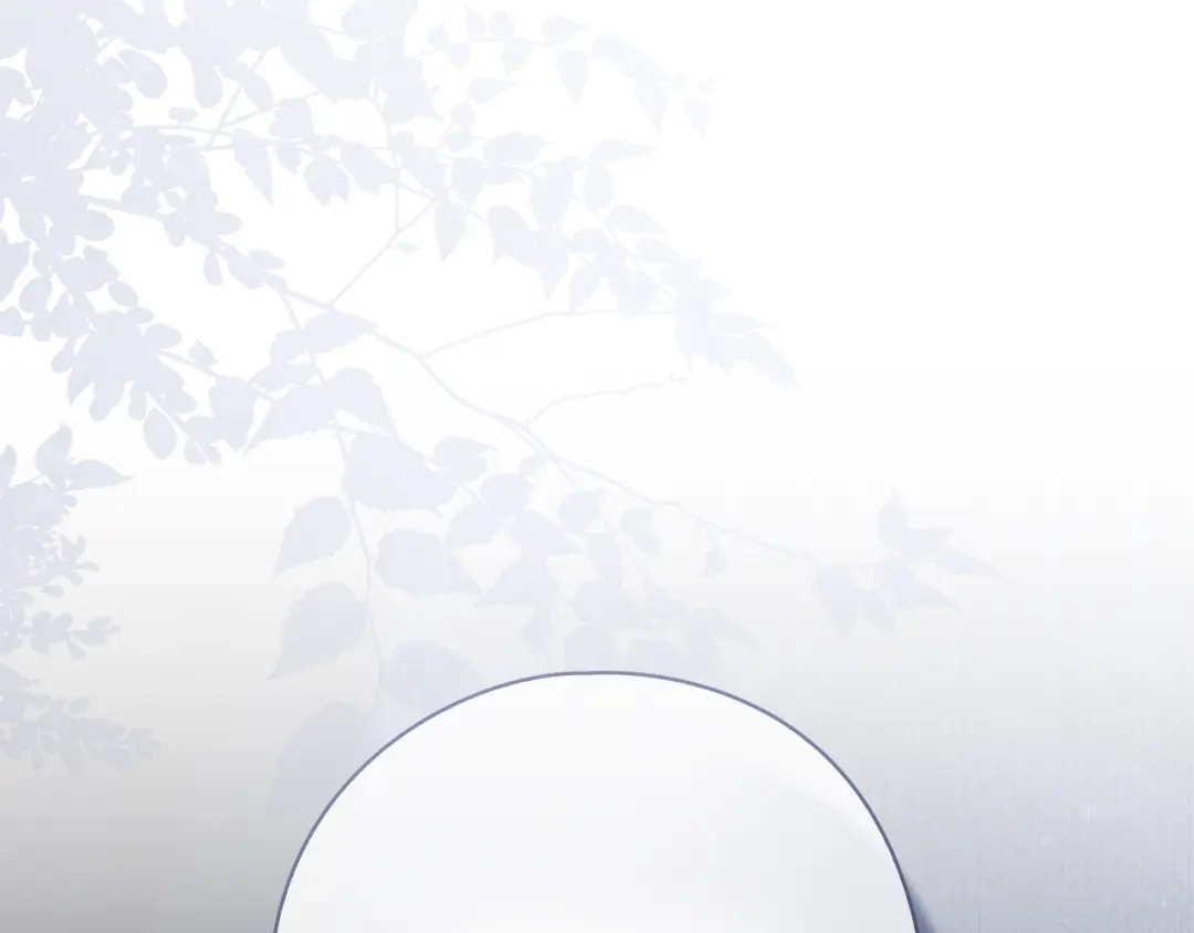 第223页