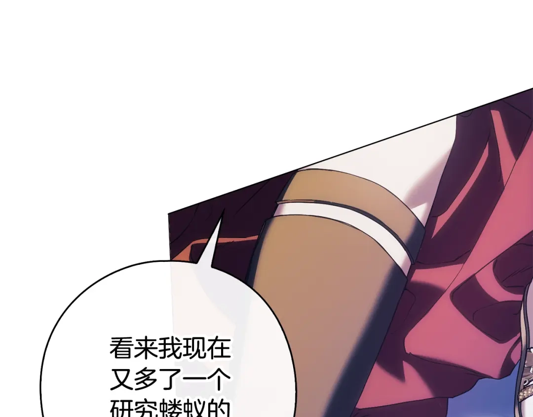 第246页